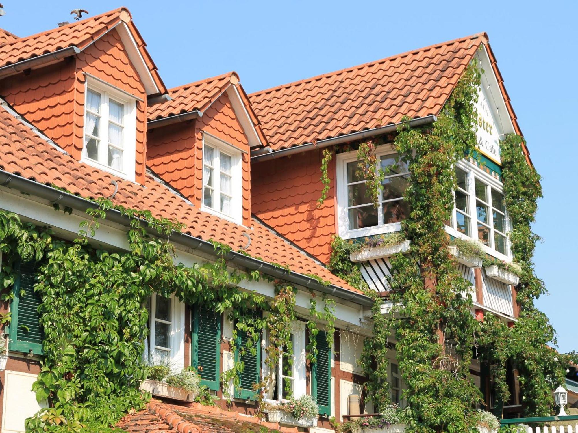 Landgasthof & Landhaus Hofmeister Diemelsee Exterior photo